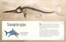 Load image into Gallery viewer, DK Dinosaurs & Other Prehistoric Life - Hardback