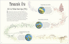 Load image into Gallery viewer, DK Dinosaurs & Other Prehistoric Life - Hardback