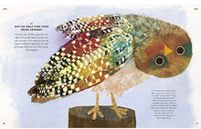 Load image into Gallery viewer, Everything Under the Sun - Hardback