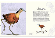 Load image into Gallery viewer, DK An Anthology Of Aquatic Life - Hardcover