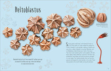 Load image into Gallery viewer, DK Dinosaurs & Other Prehistoric Life - Hardback