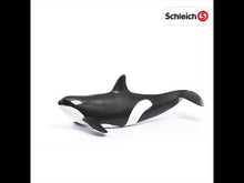 Load and play video in Gallery viewer, Schleich Killer Whale