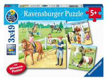Load image into Gallery viewer, Ravensburger A Day at the Stables 3 X 49 Piece Puzzle

