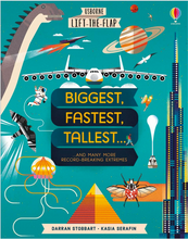 Load image into Gallery viewer, Usborne Lift the Flap Biggest, Fastest, Tallest... - H/B