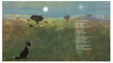 Load image into Gallery viewer, Tiger Tiger Burning Bright - An Animal Poem for Every Day of the Year - H/B