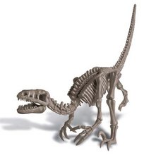 Load image into Gallery viewer, 4M Dig A Dinosaur Velociraptor