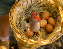 Load image into Gallery viewer, Nana Huchy Bubba Rooster Rattle