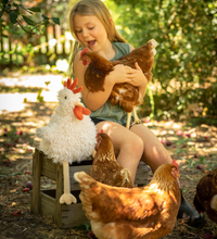 Load image into Gallery viewer, Nana Huchy Roy the Rooster