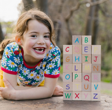 Load image into Gallery viewer, Freckled Frog ABC Blocks
