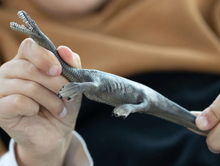Load image into Gallery viewer, Schleich Nothosaurus