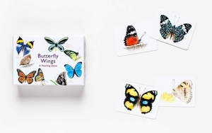 Laurence king Butterfly Wings A Matching Game