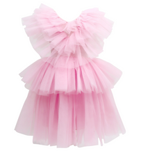 Load image into Gallery viewer, Pink Poppy Claris Long Tulle Dress Size 3-4
