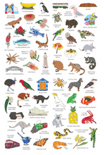 Load image into Gallery viewer, Spotted! Around Australia