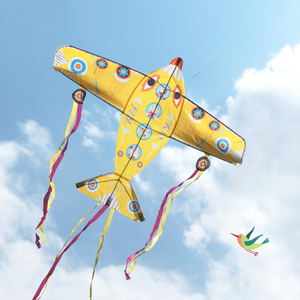 Djeco Plane Maxi Kite