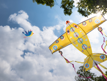 Load image into Gallery viewer, Djeco Plane Maxi Kite