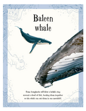 Load image into Gallery viewer, DK Anthology of Intriguing Animals - Hardcover