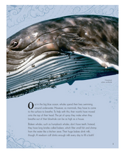 Load image into Gallery viewer, DK Anthology of Intriguing Animals - Hardcover