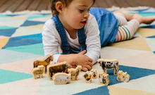 Load image into Gallery viewer, Freckled Frog Farm Animals
