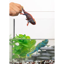 Load image into Gallery viewer, Schleich Chameleon