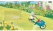 Load image into Gallery viewer, The Velveteen Rabbit - H/B