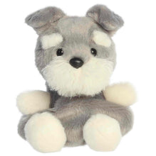 Load image into Gallery viewer, Palm Pals Korra Schnauzer
