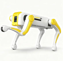 Load image into Gallery viewer, RC Robot Dog
