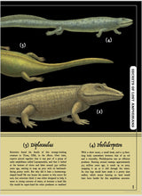 Load image into Gallery viewer, Secret Stories of Lost Beasts
