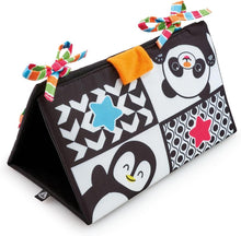 Load image into Gallery viewer, ELC Black and White Look at Me Mirror
