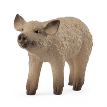 Load image into Gallery viewer, Schleich Mangalica Piglet
