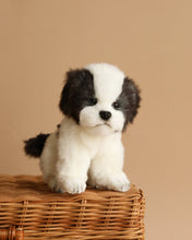Load image into Gallery viewer, Hansa Shih Tzu Teacup 15cm
