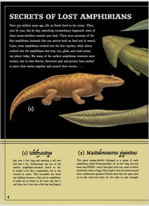 Secret Stories of Lost Beasts