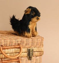 Load image into Gallery viewer, Hansa Torkshire Terrior Tea Cup 15cm
