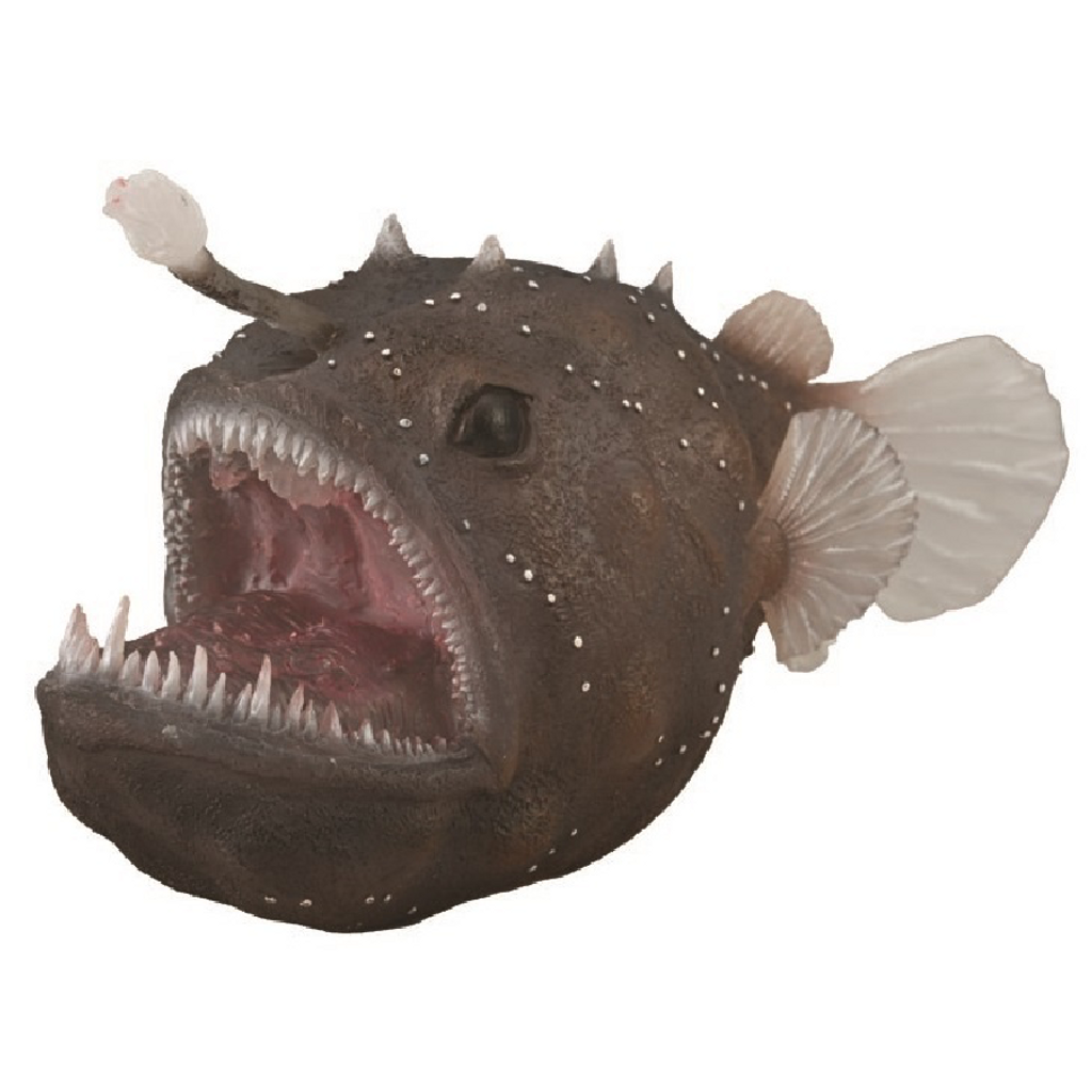 Anglerfish
