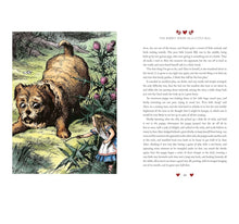 Load image into Gallery viewer, Alices Adventures in Wonderland - Lewis Carrol - Hardback
