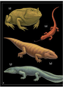 Secret Stories of Lost Beasts