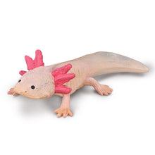 Load image into Gallery viewer, Axolotl
