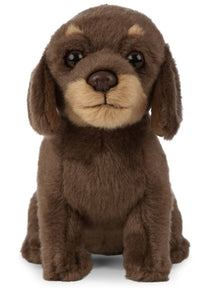 Living Nature - Dachshund Puppy 16cm