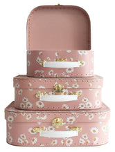 Load image into Gallery viewer, Alimrose Carry Case Set Daisy Days
