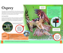 Load image into Gallery viewer, Children&#39;s Encyclopedia of Birds

