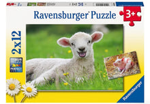 Load image into Gallery viewer, Ravensburger Farm Animals 2x12
