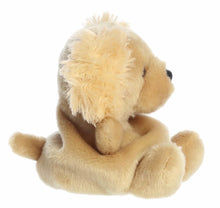Load image into Gallery viewer, Palm Pals Oatmeal Goldendoodle
