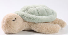Load image into Gallery viewer, Green Sea Turtle
