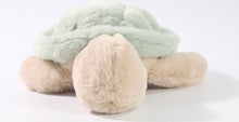 Load image into Gallery viewer, Green Sea Turtle
