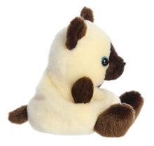 Load image into Gallery viewer, Palm Pals Dusty Siamese Kitty
