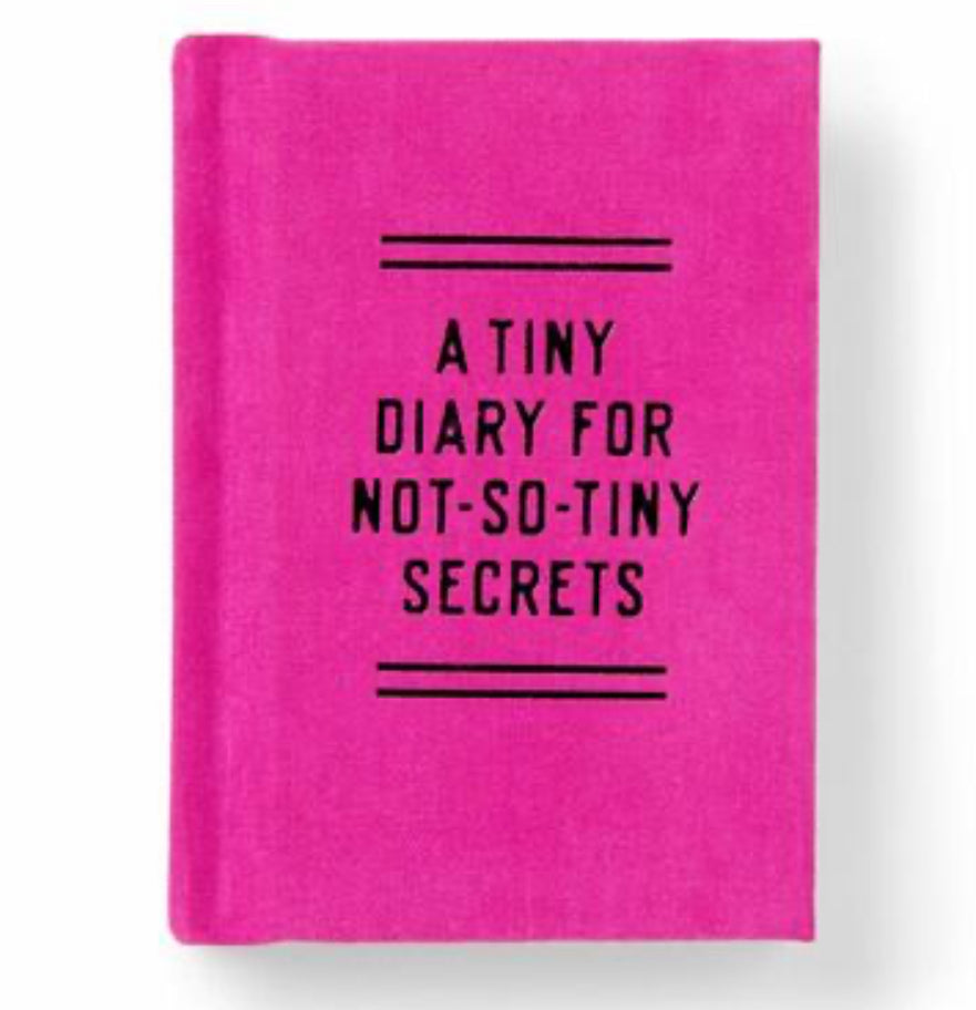 A Tiny Diary for Not-So-Tiny Secrets