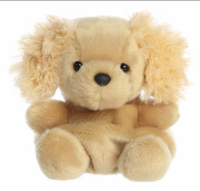 Load image into Gallery viewer, Palm Pals Oatmeal Goldendoodle
