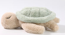 Load image into Gallery viewer, Green Sea Turtle
