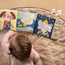 Load image into Gallery viewer, Taf Toys Soothing Sound Book
