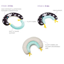 Load image into Gallery viewer, Taf Toys 2 in 1 Tummy Time Pillow
