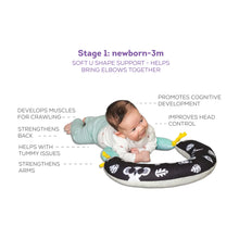 Load image into Gallery viewer, Taf Toys 2 in 1 Tummy Time Pillow
